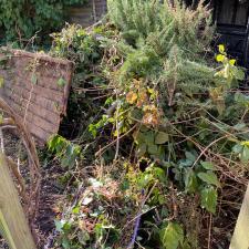 Garden Clearance in Wimbledon, SW19